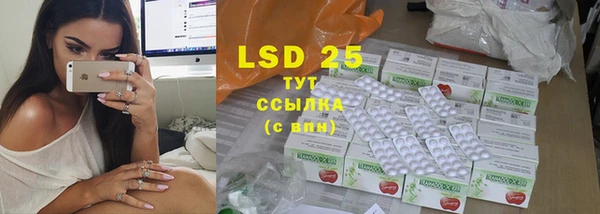 ГАЛЛЮЦИНОГЕННЫЕ ГРИБЫ Коряжма