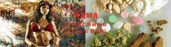 мдпв Арсеньев