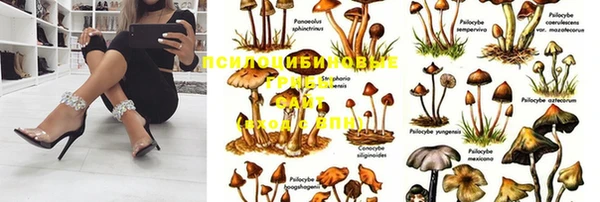прущая мука Баксан